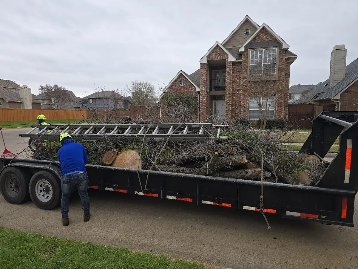 Expert Tree Fertilization with proper safety equipment in Portales